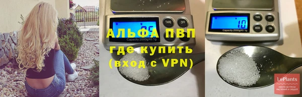стафф Снежинск