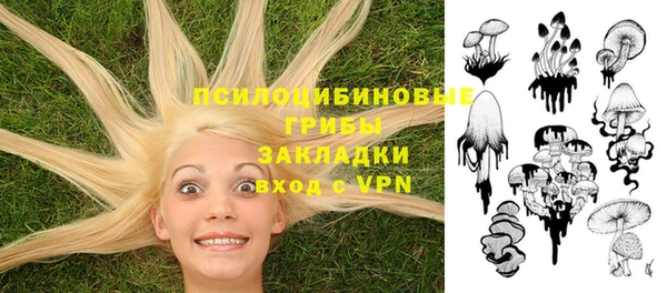 гашик Сосновоборск