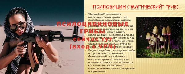 стафф Снежинск
