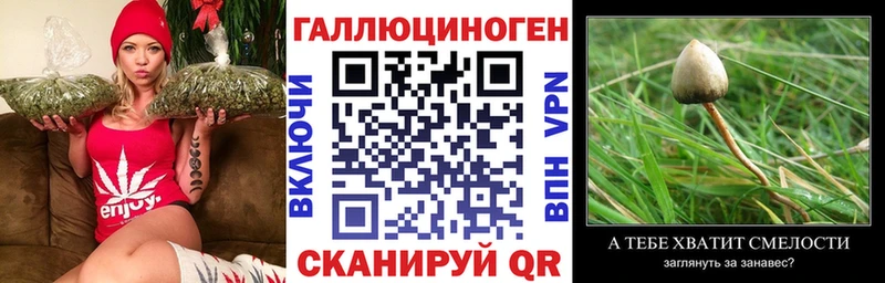 Псилоцибиновые грибы Magic Shrooms  Купить  Усинск 